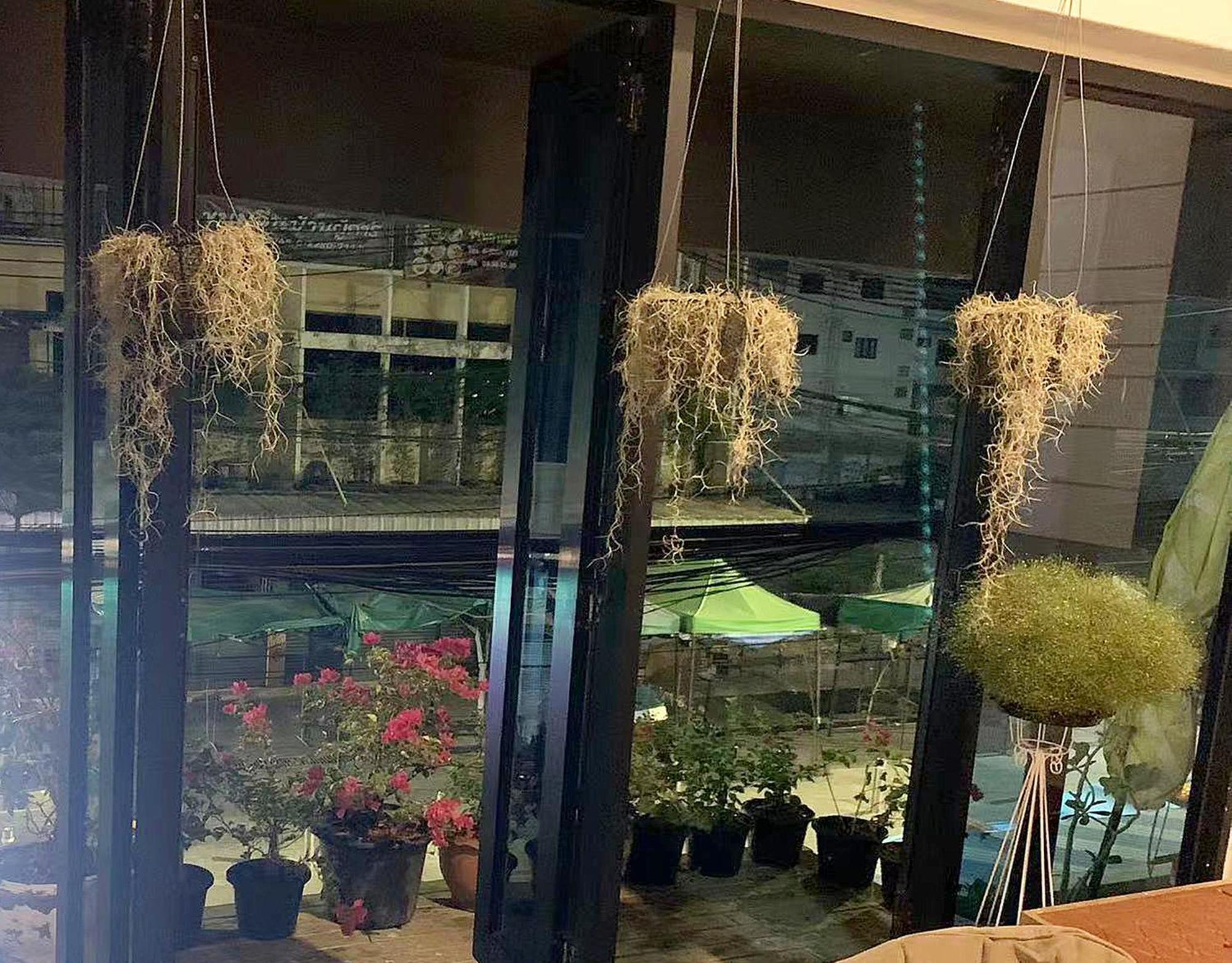 Susu Khaosan Hostel Μπανγκόκ Εξωτερικό φωτογραφία